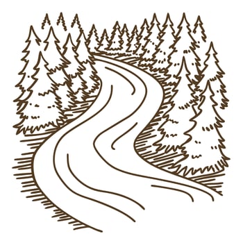 Curved forest road winding through dense pine trees nature landscape, travel destination, scenic outdoor adventure path vector