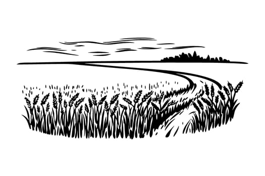Countryside rural field landscape with winding path and wheat black and white line drawing, farm horizon vector