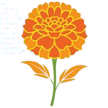 Festive Marigold Petal Designs vector