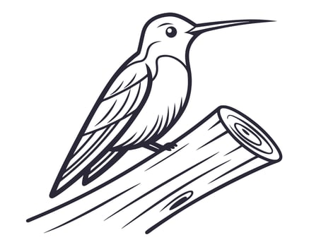 Elegant black and white illustration of a hummingbird perched on a tree branch vector