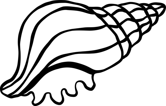 Counch shell seashell doodle outline, fisherman aesthetic png