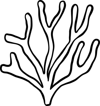 Coral outline doodle hand drawn black and white png