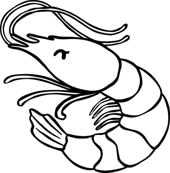 Cute prawn hand drawn doodle outline, fisherman aesthetic png