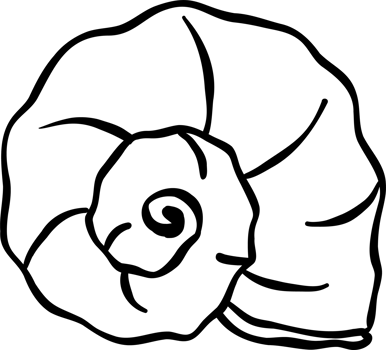 Snail shell doodle outline, fisherman aesthetic png