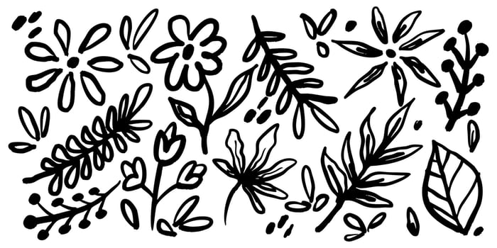 collection of hand drawn floral and leaf doodles in black and white. Includes whimsical flowers, leaves, and branches perfect for decorative design, coloring pages, or botanical themed illustrations. vector