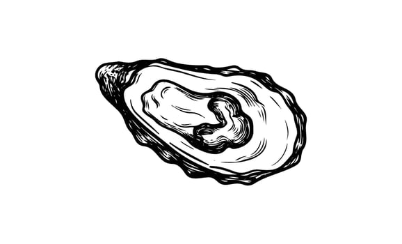 Detailed black and white drawing of oyster with textured shell and inner structure vector