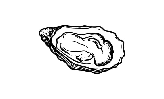 Single black and white oyster sketch on white background vector