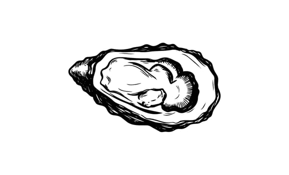 Black and white oyster drawing vector