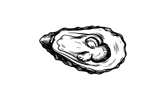 Intricate black and white illustration of an oyster shell with detailed texture vector