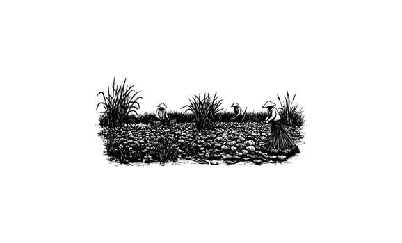 Asian farmers harvesting in rice field with traditional hats vector