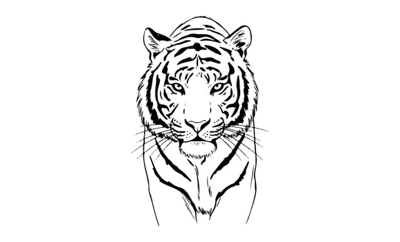Majestic tiger head sketch detailed black and white animal illustration vector