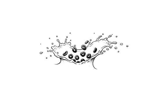 Milk and cereal splash with blueberries in black and white sketch vector