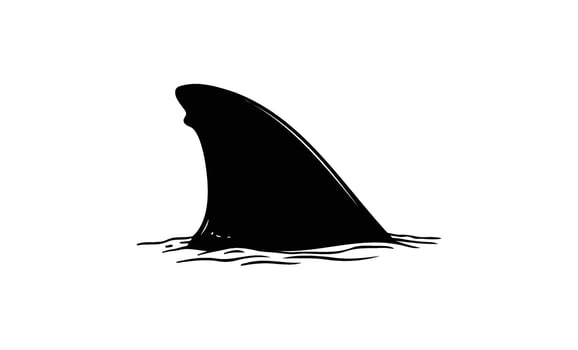 Black silhouette of shark fin emerging from water surface vector