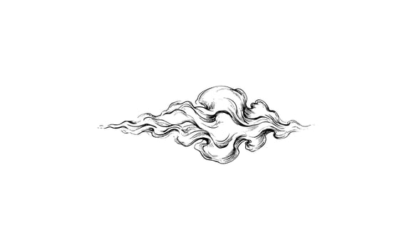 Elegant black and white abstract wave art design vector