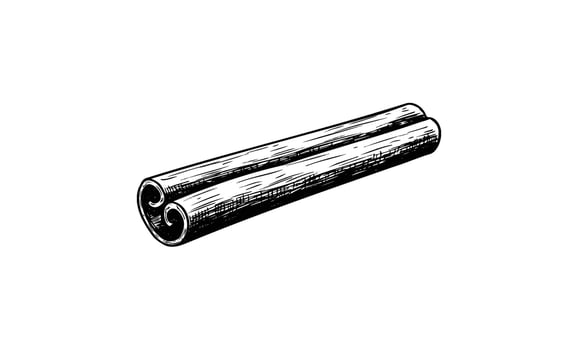 Hand drawnillustration of cinnamon stick on white background vector