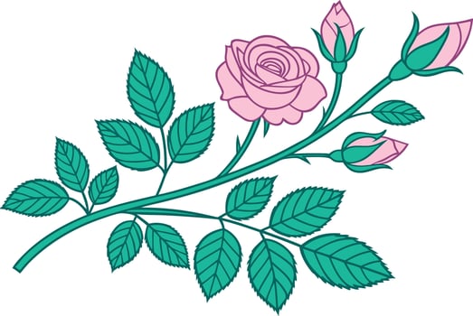 Pink rose and buds with green leaves on a branch rosebud vector