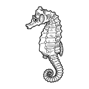 Detailed black and white drawing of a seahorse in profile view vector