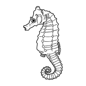 Intricate line art of a seahorse with detailed patterns vector