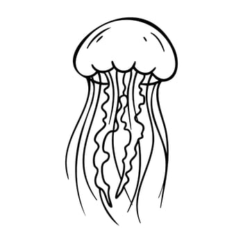 Line art of a jellyfish with flowing tentacles vector