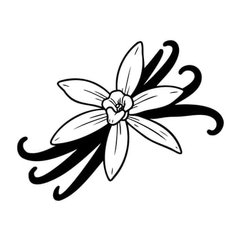 Elegant vanilla flower with swirling petals in black and white design vector