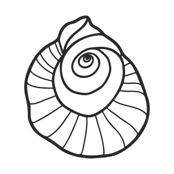 Spiral seashell line art design for coloring or decoration vector