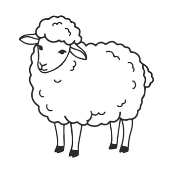Illustration of a fluffy sheep outline in black and white vector