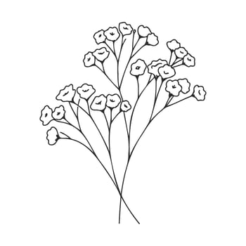 Delicate black and white baby's breath floral sketch vector