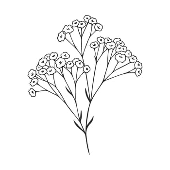 Black and white line art of baby's breath floral bouquet vector