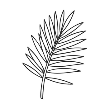 Single palm leaf line art illustration on white background vector