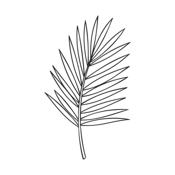 Simple black and white palm leaf line art on white background vector