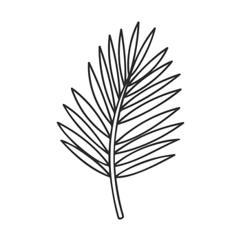 Simple black and white line drawing of a palm leaf on white background vector