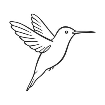 Outline of a flying hummingbird with outstretched wings in minimalist style vector