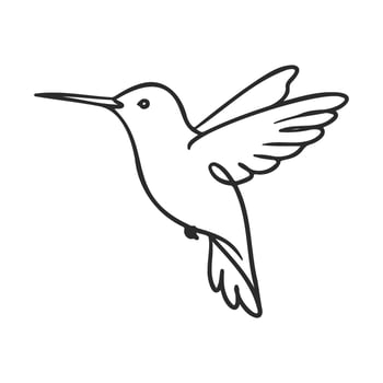 Minimalist line art of hummingbird in flight vector
