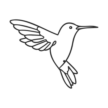 Minimalist line drawing of hummingbird in flight with outstretched wings vector