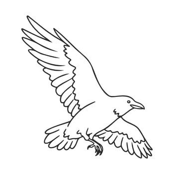 Black and white outline of a flying crow with detailed wingspread vector