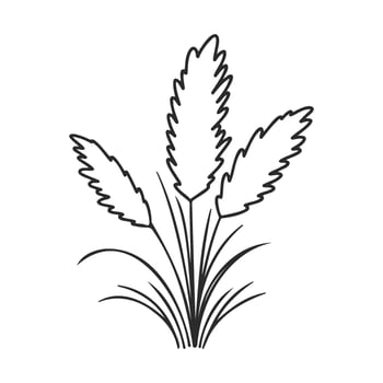 Pampas grass line art illustration of nature plant design vector