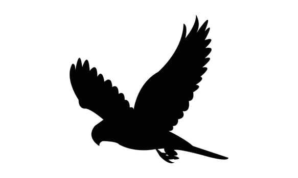 Flying American kestrel black Silhouette Design vector
