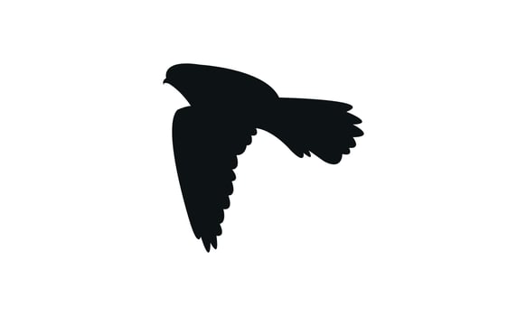Flying American kestrel black Silhouette vector