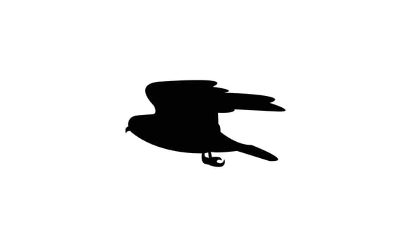 Flying American kestrel bird black Silhouette Design vector