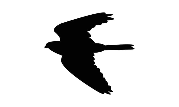 Flying American kestrel bird Silhouette Design vector