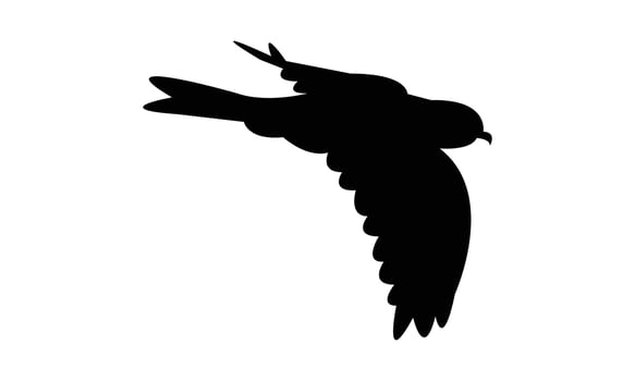 Flying American kestrel bird Silhouette vector