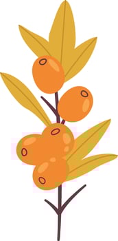 Sea Buckthorn Branch Flat Illustration vector