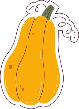 Pumpkin Vegetable Sticker vector