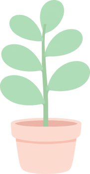 A simple green plant with oval leaves in a light pink ceramic pot png