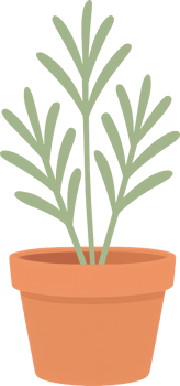 A single green potted plant with delicate leaves in an terracotta pot png