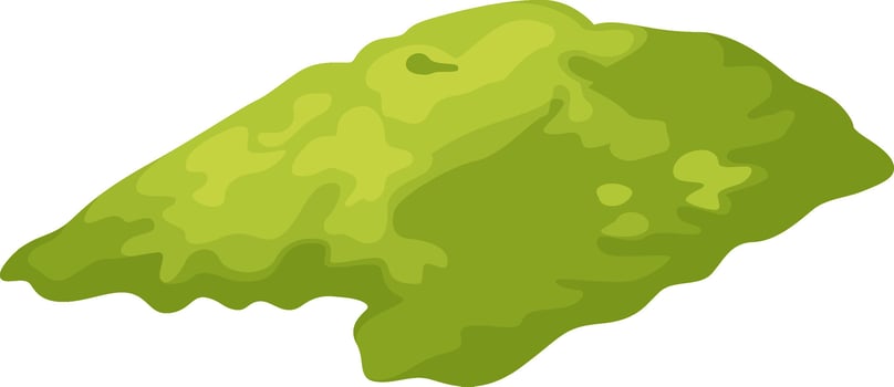 Grass Moss Illustration Flat Illustration vector