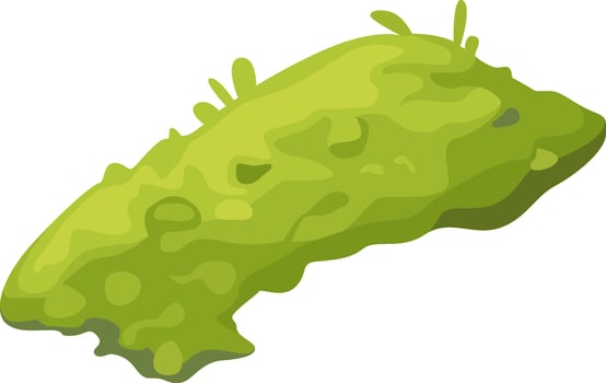 Grass Moss Illustration Flat Illustration Hand Drawn Icon vector
