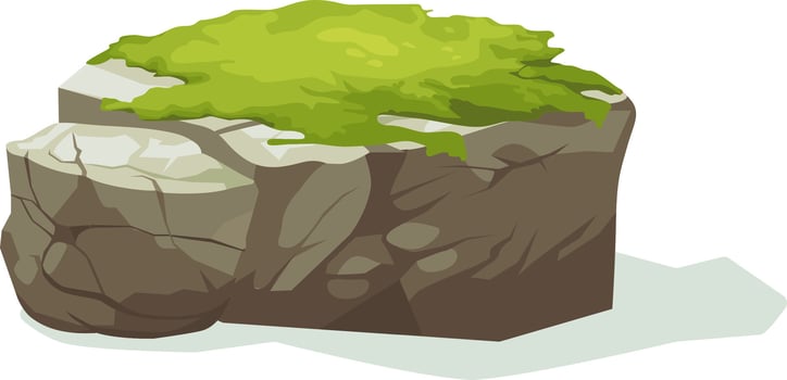 Moss On Old Gray Stone vector
