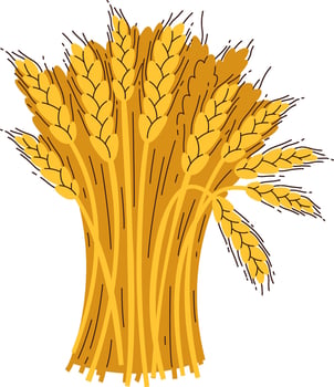 Ears Of Wheat Bouquet vector