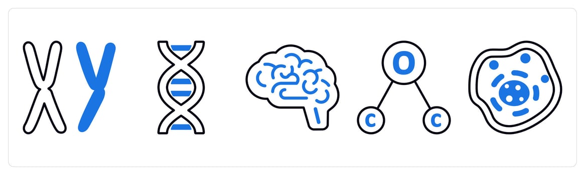 A set of 5 mix icons as chromosome, dna, neuroscience in blue color vector